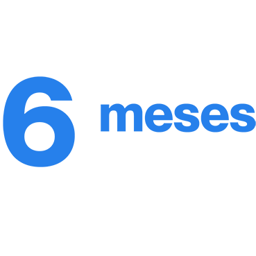 6 Meses